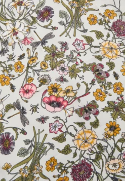 Anna Field Set - Handtas - Black -Anna Field a3be3ad66bfe4ad69963a0672e3e63de scaled